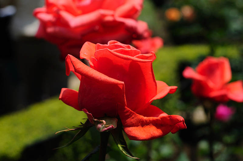 image0108