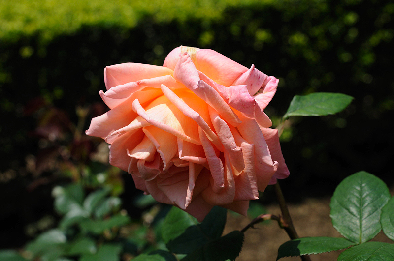 image0120
