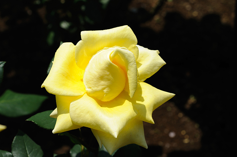 image0122