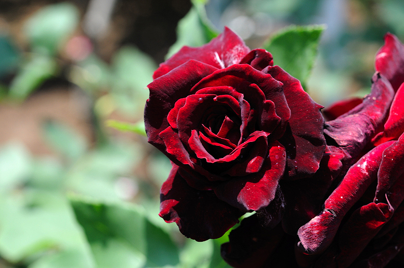 image0124