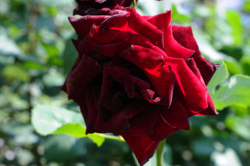 image0125