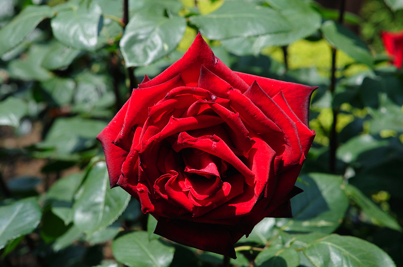 image0127
