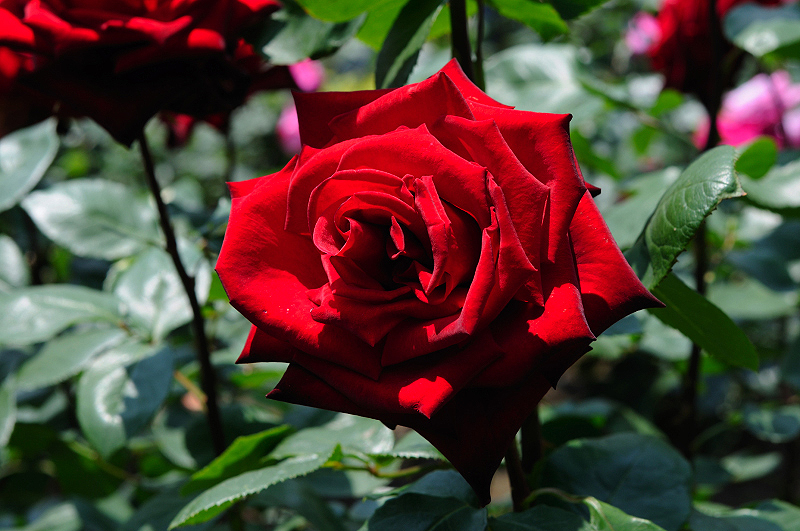 image0128