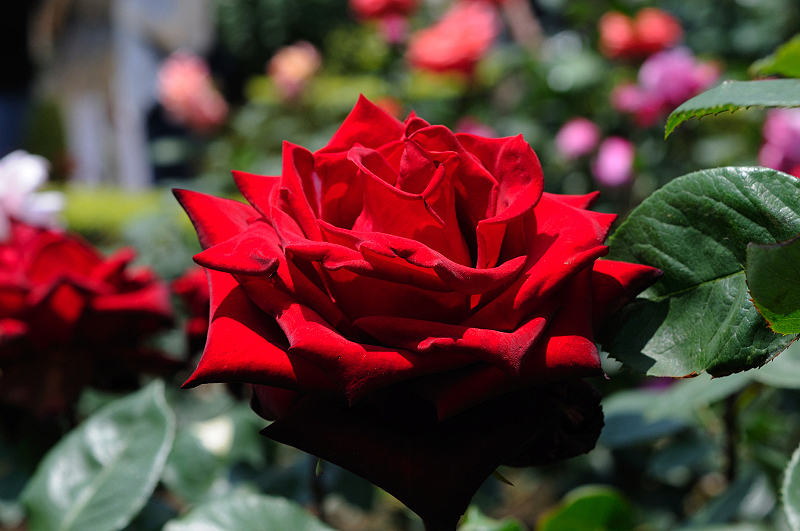 image0129