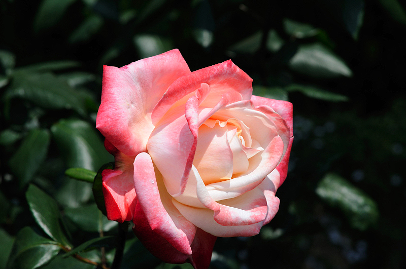 image0145