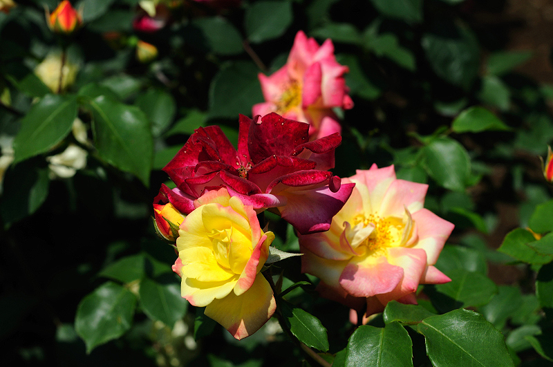 image0153
