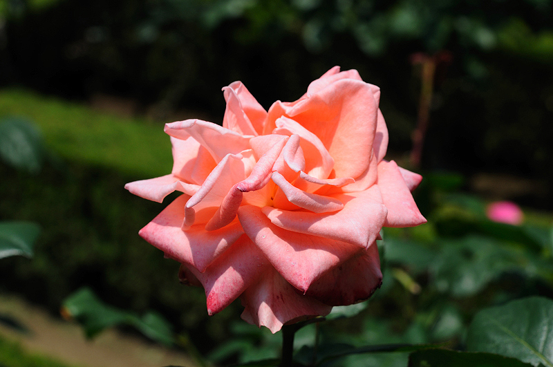 image0155