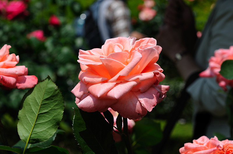 image0156