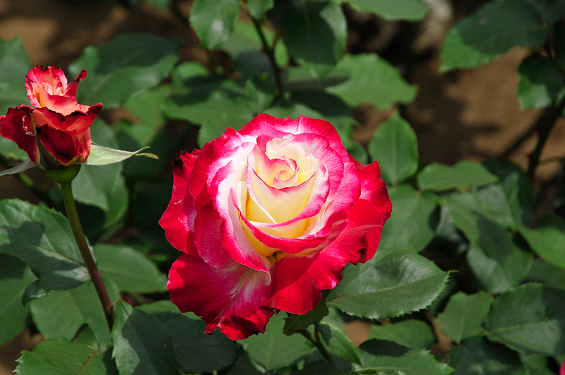 image0108