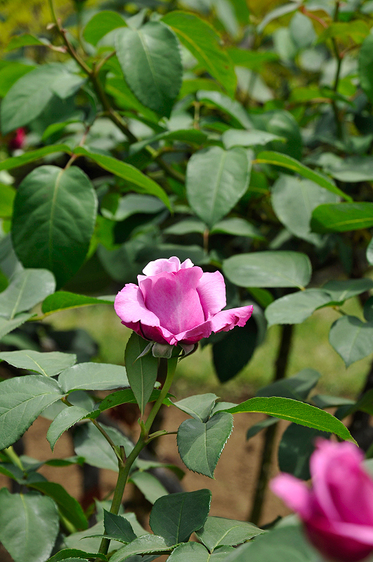 image0122