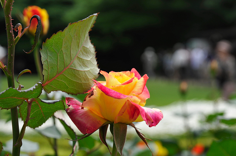 image0129