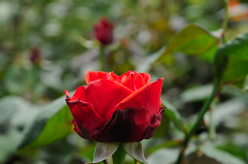 image0130