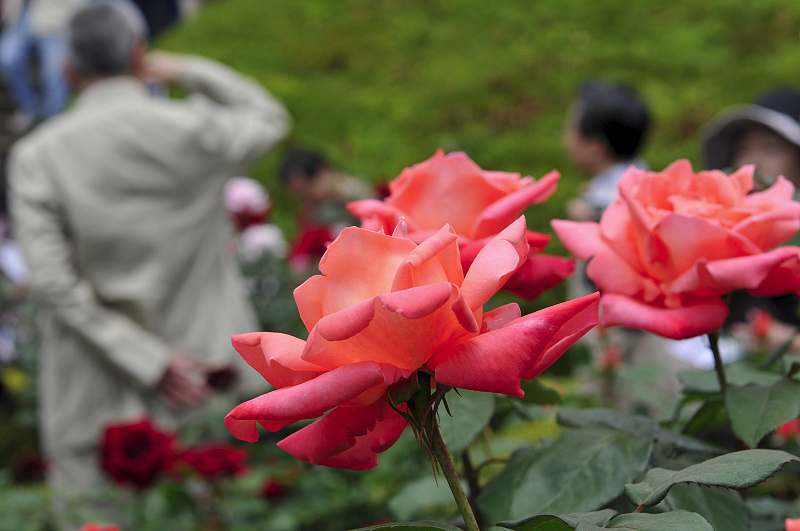 image0101