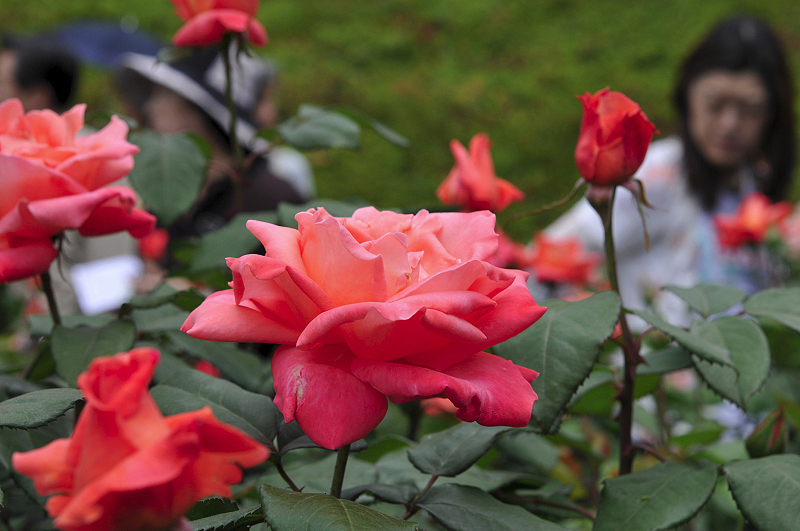 image0102