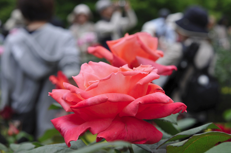 image0103