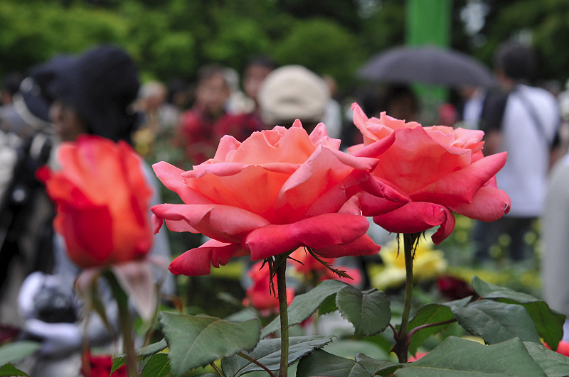image0104