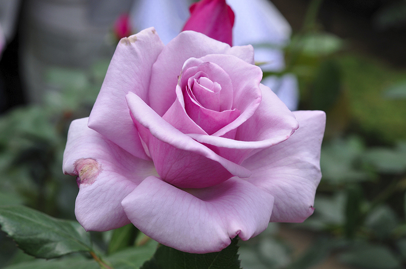 image0105