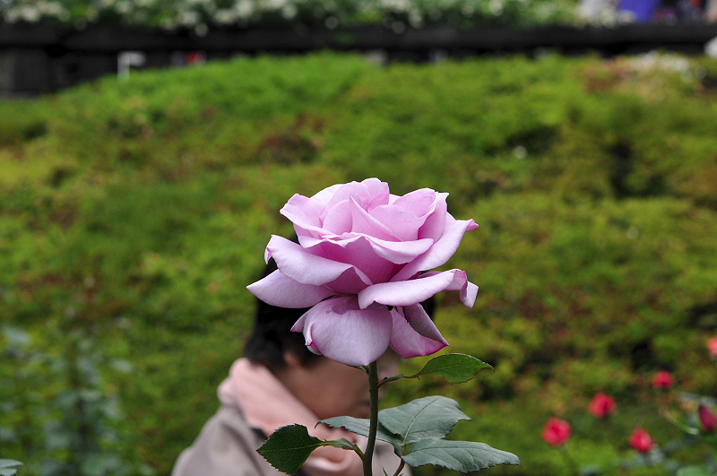 image0107