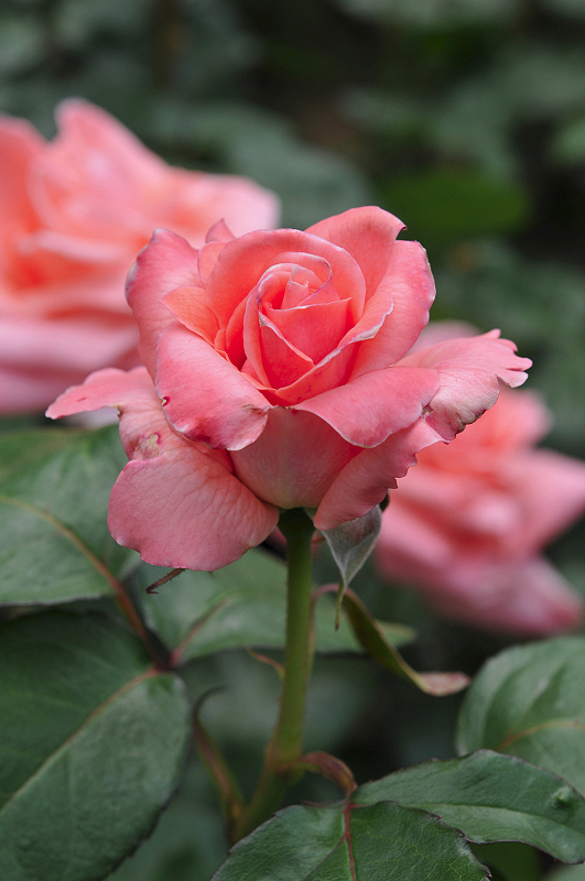 image0108