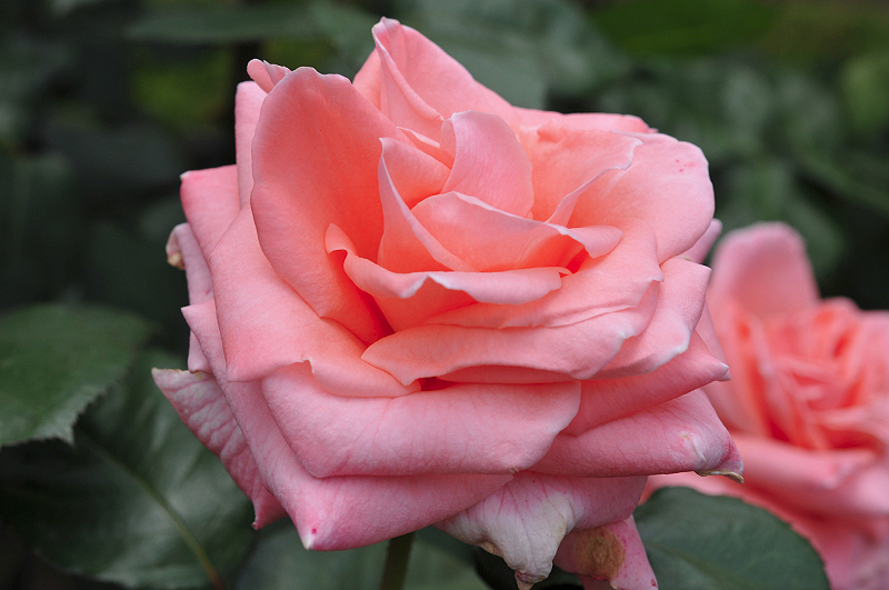 image0109
