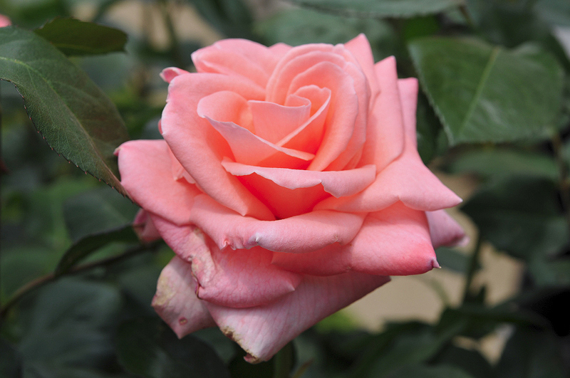 image0111