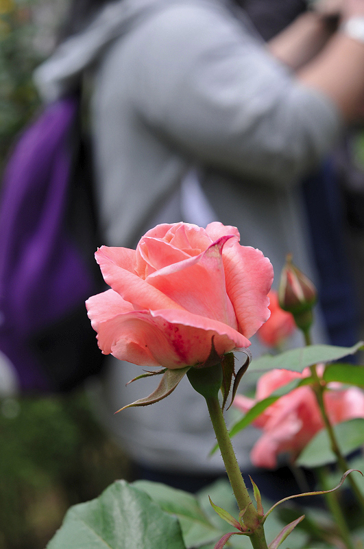 image0112