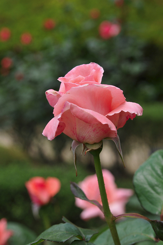 image0114