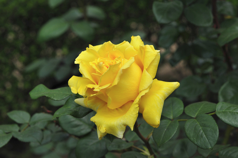 image0115