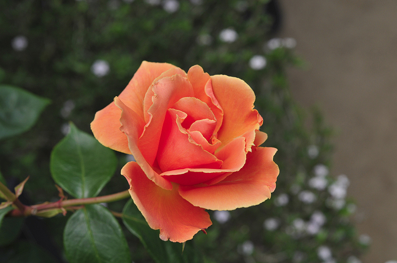 image0116