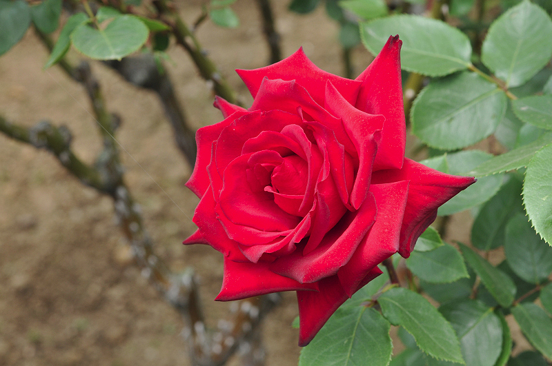 image0118