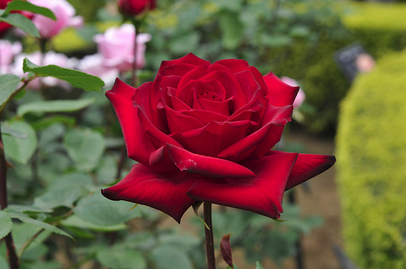 image0120