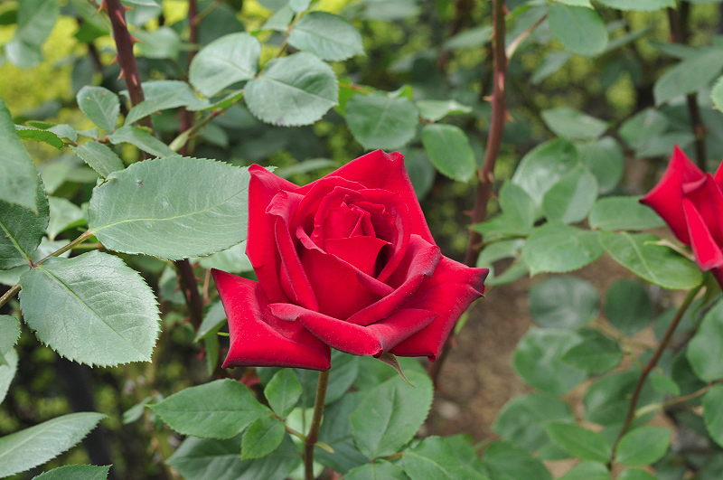 image0121