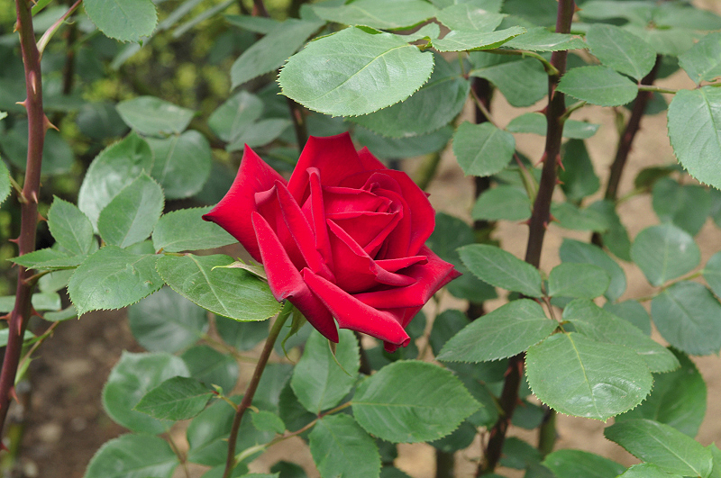 image0122