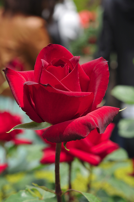 image0123