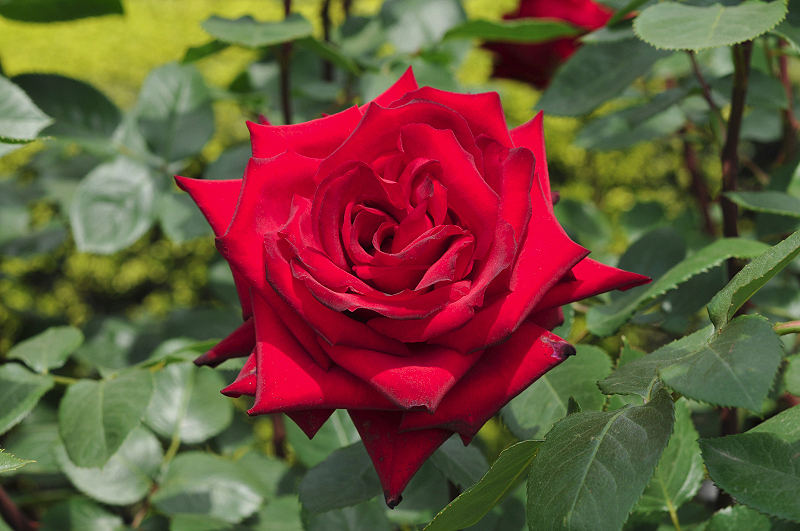 image0124