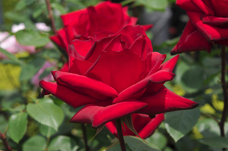 image0125
