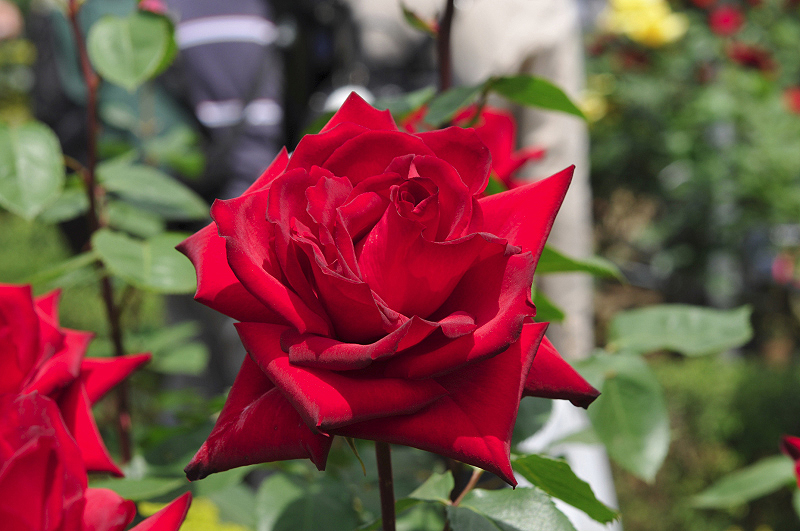 image0126