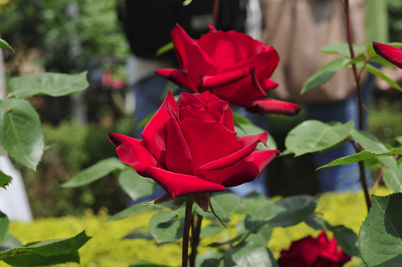 image0127