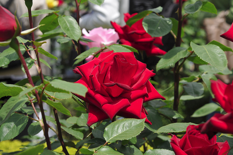 image0128