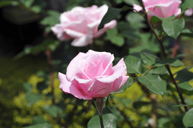 image0129