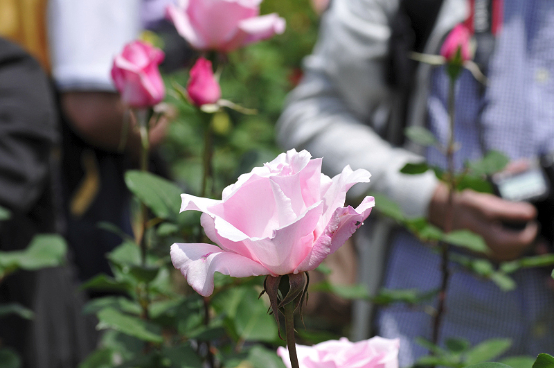 image0131