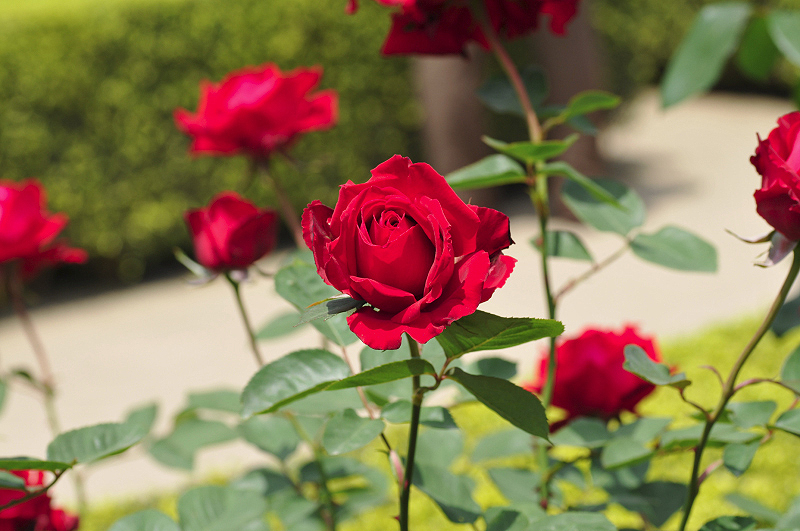 image0133