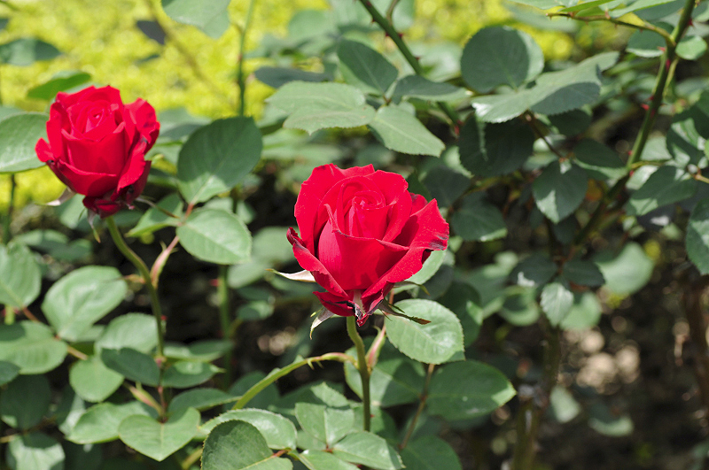 image0134