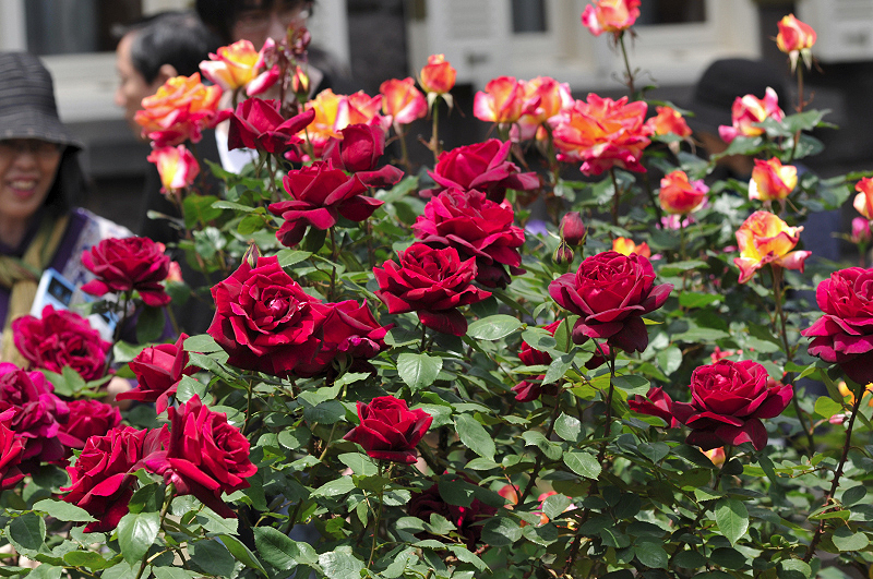 image0139