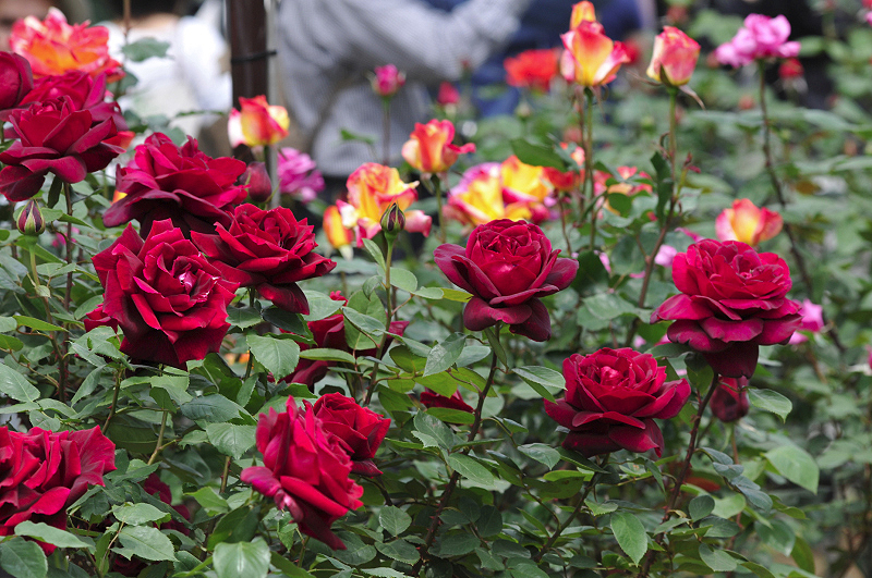 image0143