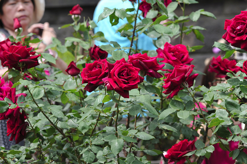 image0144