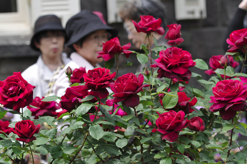image0145
