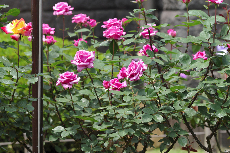 image0146