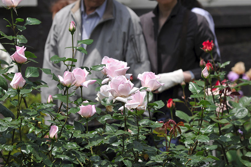 image0147