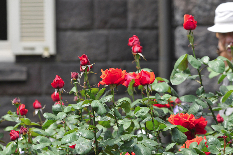 image0148